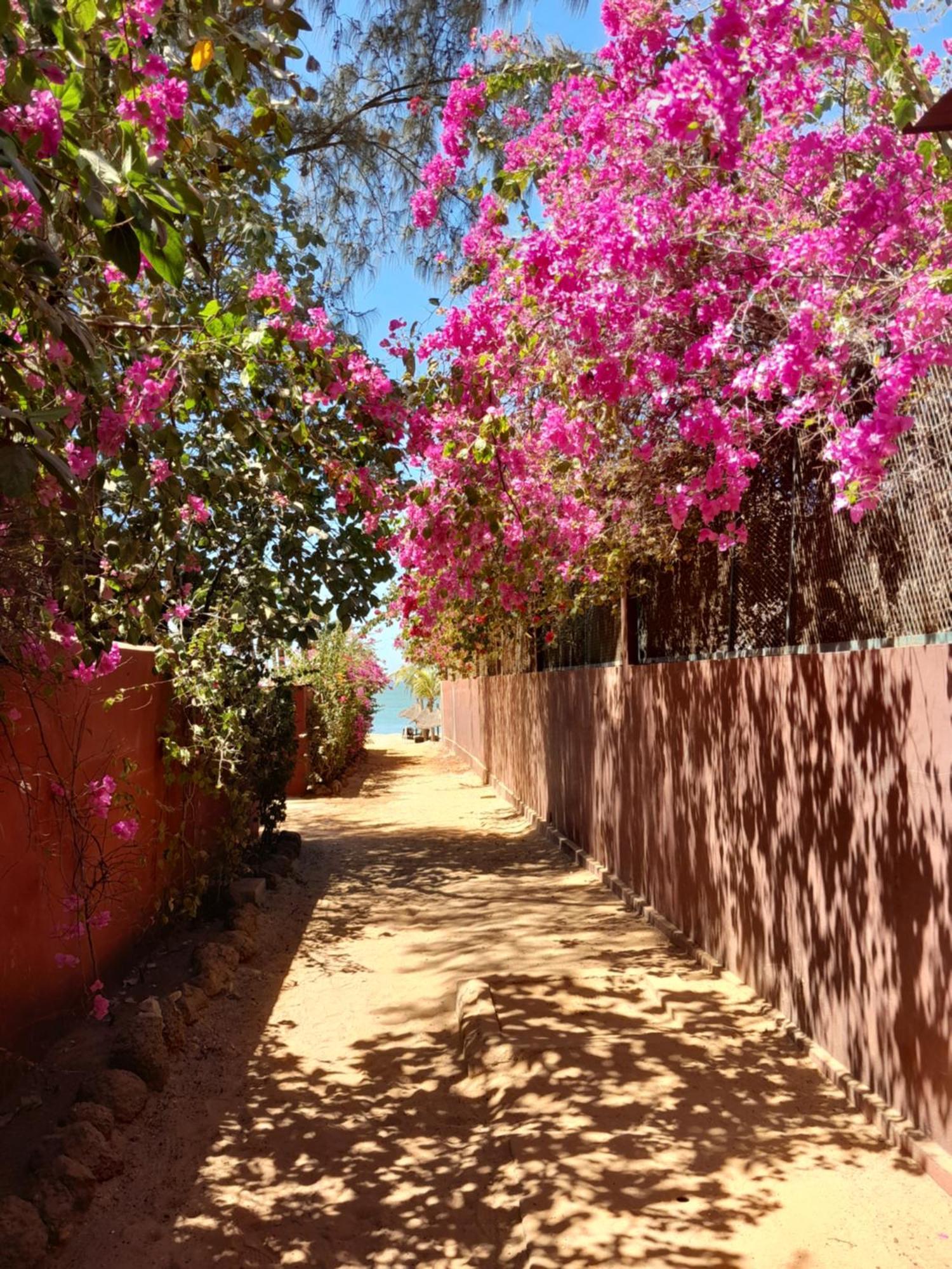 Apartmán L'Eden Saly Portudal Exteriér fotografie